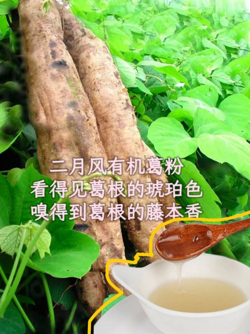 二月風(fēng)有機(jī)葛粉，看得見葛根的琥珀色，嗅得到葛根的藤本香_800.jpg
