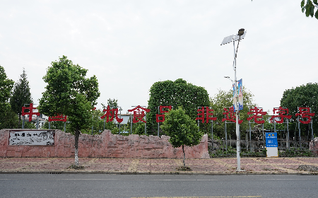 當(dāng)定制葛粉時，我們真正在選擇什么？