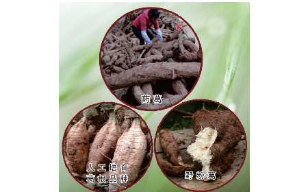 買葛粉是買野生的好？還是野生有機的好？